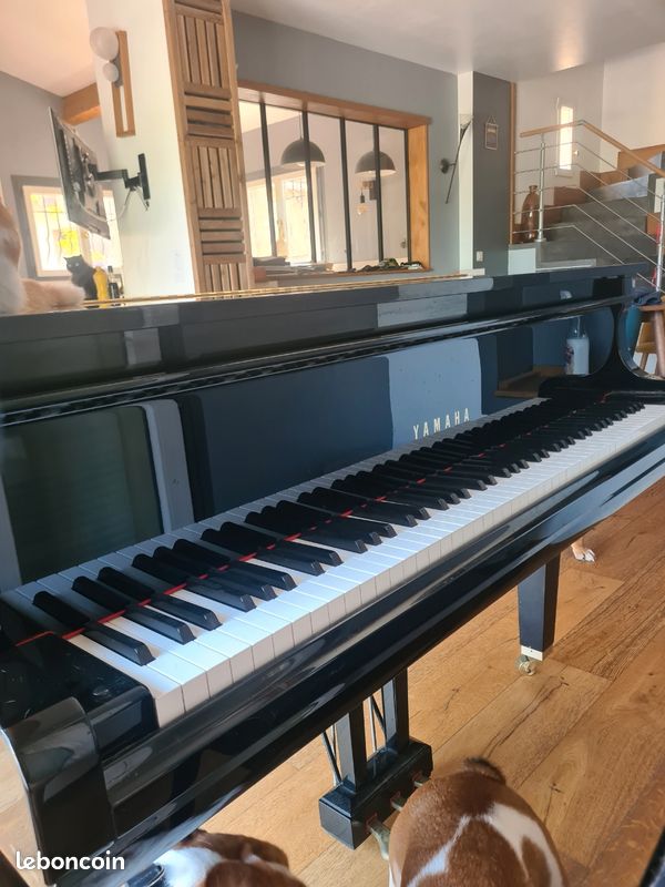 Piano à queue 7